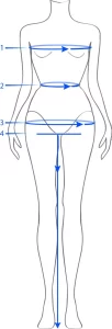 Women's body measurements